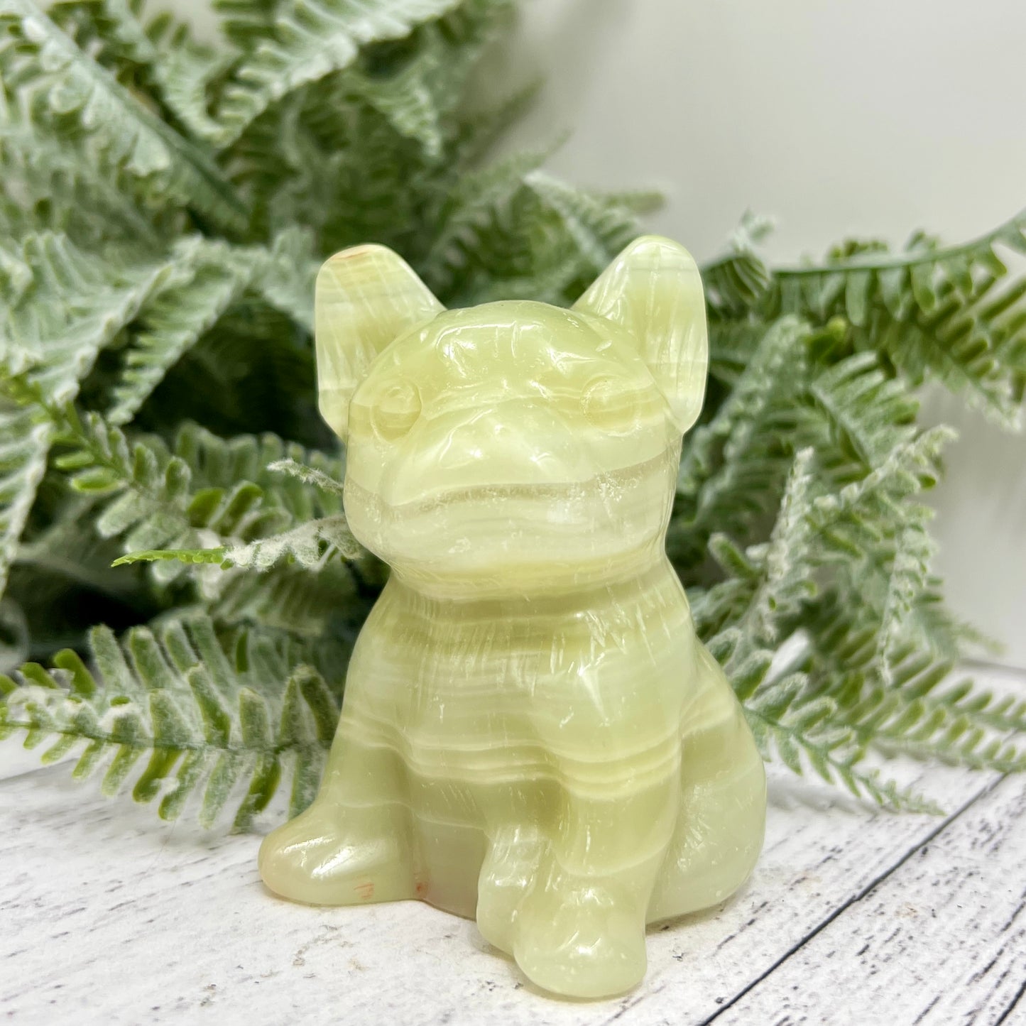 Afghan Jade Serpentine French Bull Dog Puppy Animal Crystal Carving 256g