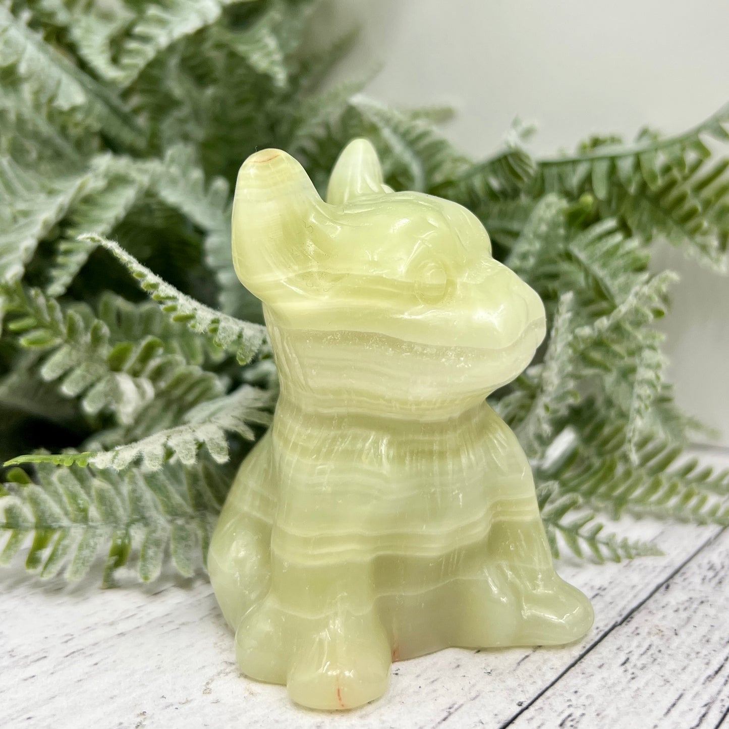 Afghan Jade Serpentine French Bull Dog Puppy Animal Crystal Carving 256g
