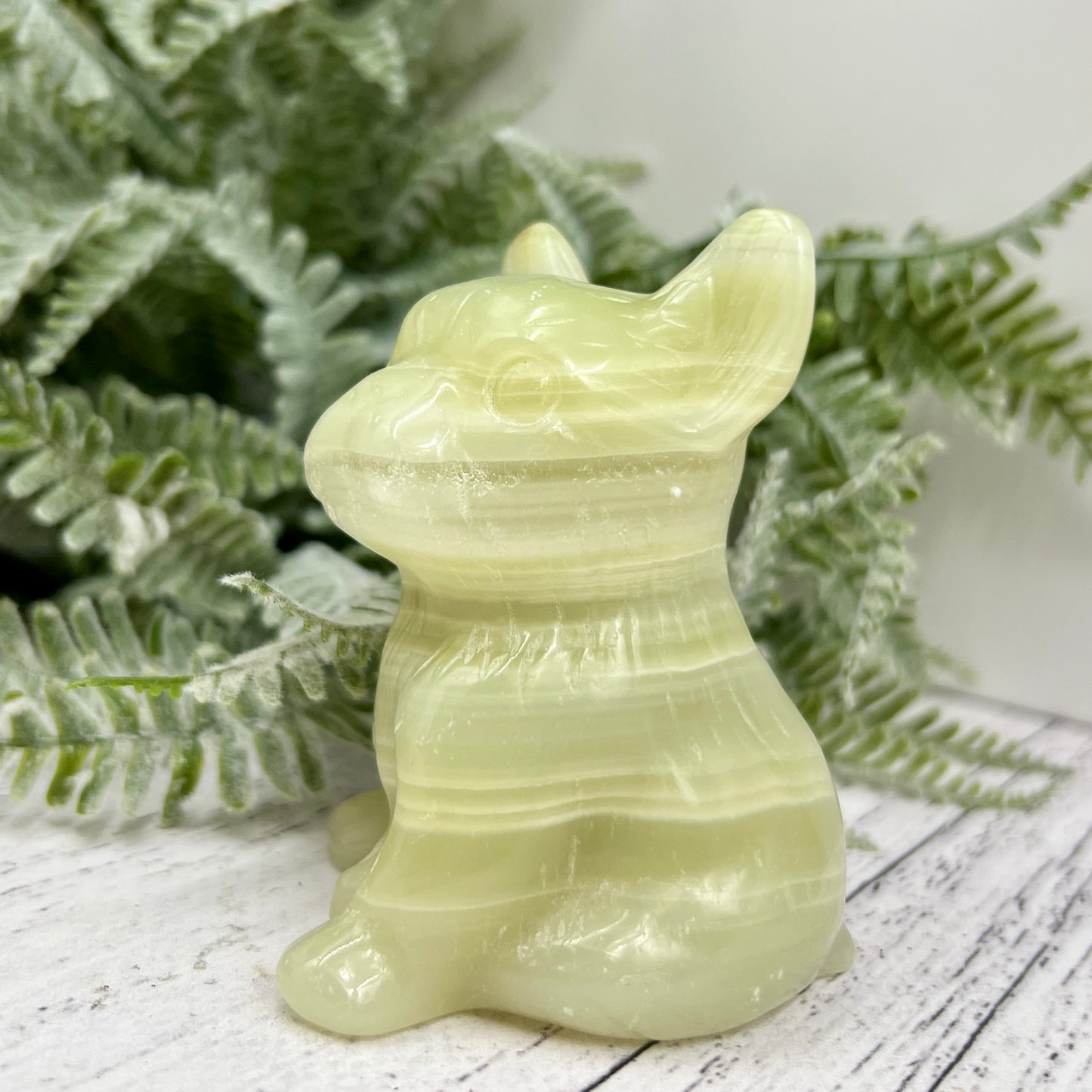Afghan Jade Serpentine French Bull Dog Puppy Animal Crystal Carving 256g