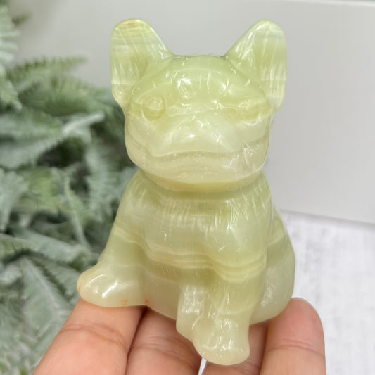 Afghan Jade Serpentine French Bull Dog Puppy Animal Crystal Carving 256g