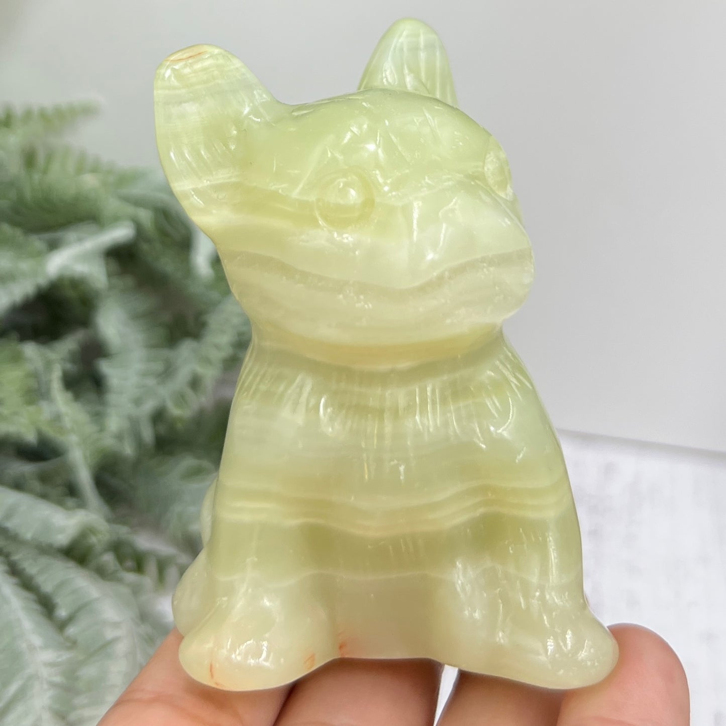 Afghan Jade Serpentine French Bull Dog Puppy Animal Crystal Carving 256g