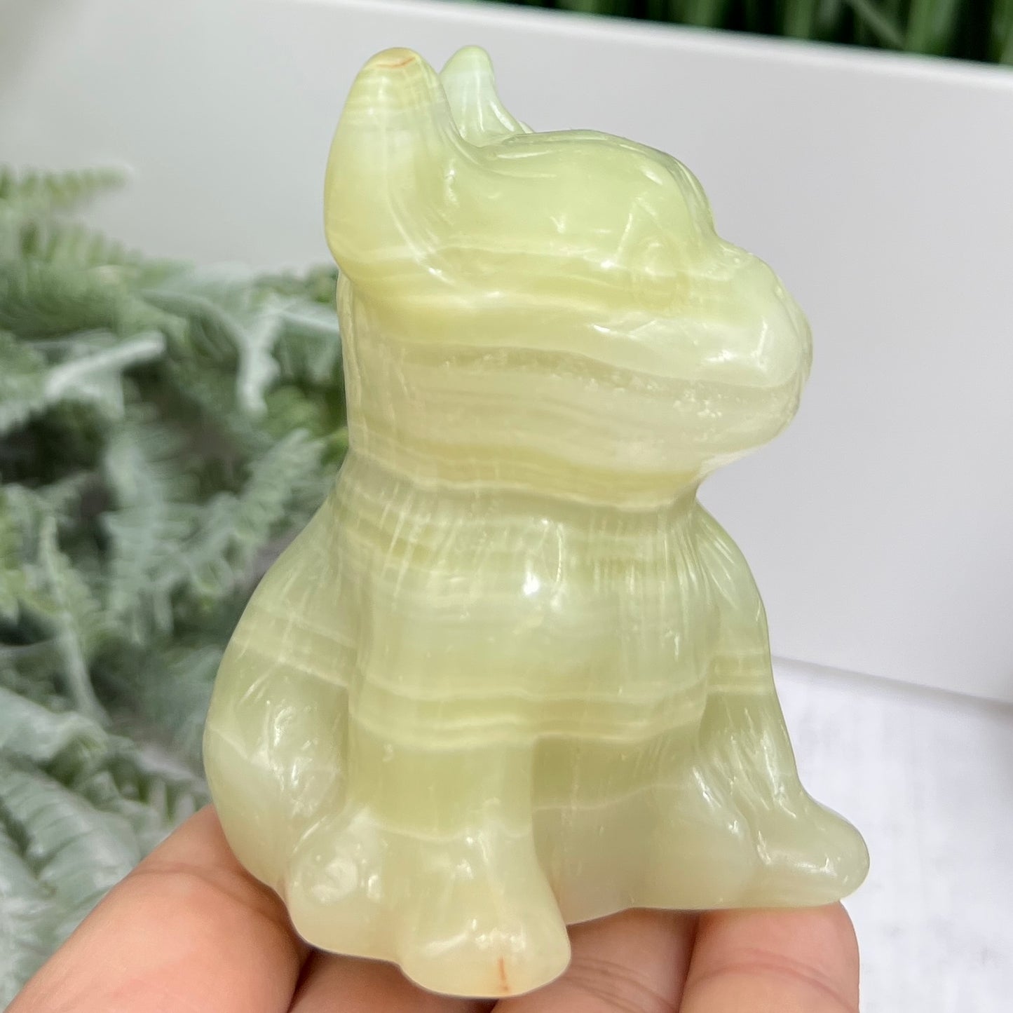 Afghan Jade Serpentine French Bull Dog Puppy Animal Crystal Carving 256g