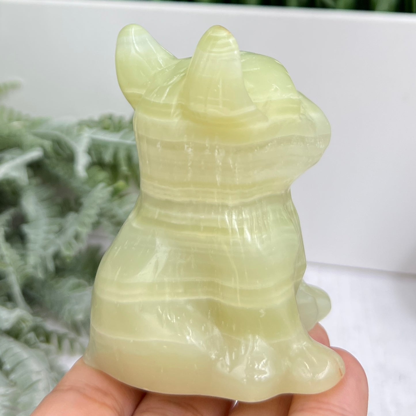 Afghan Jade Serpentine French Bull Dog Puppy Animal Crystal Carving 256g