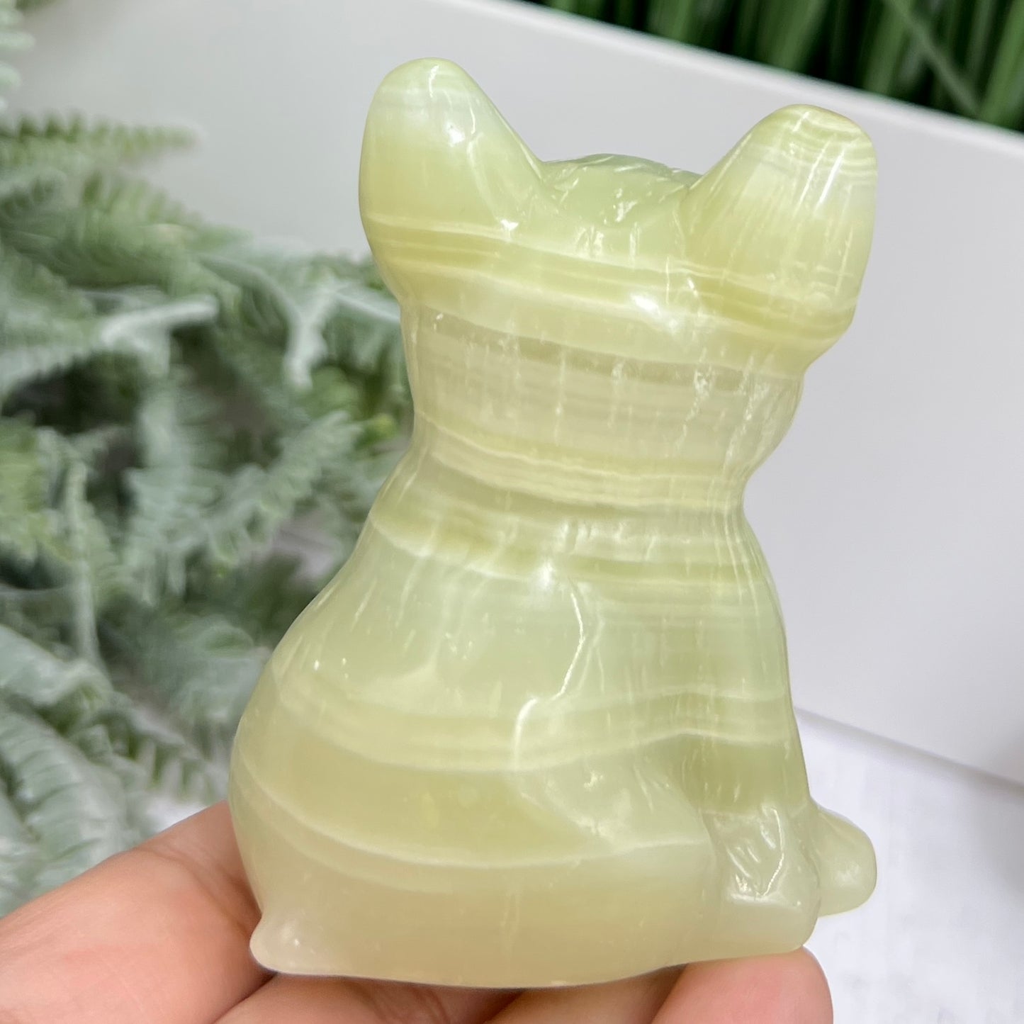 Afghan Jade Serpentine French Bull Dog Puppy Animal Crystal Carving 256g