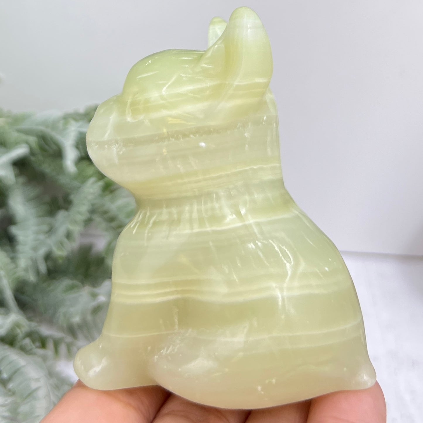Afghan Jade Serpentine French Bull Dog Puppy Animal Crystal Carving 256g