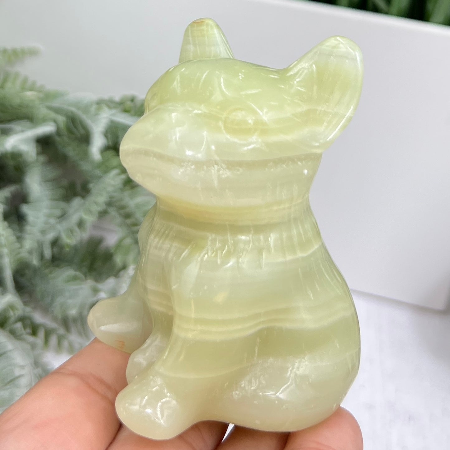 Afghan Jade Serpentine French Bull Dog Puppy Animal Crystal Carving 256g