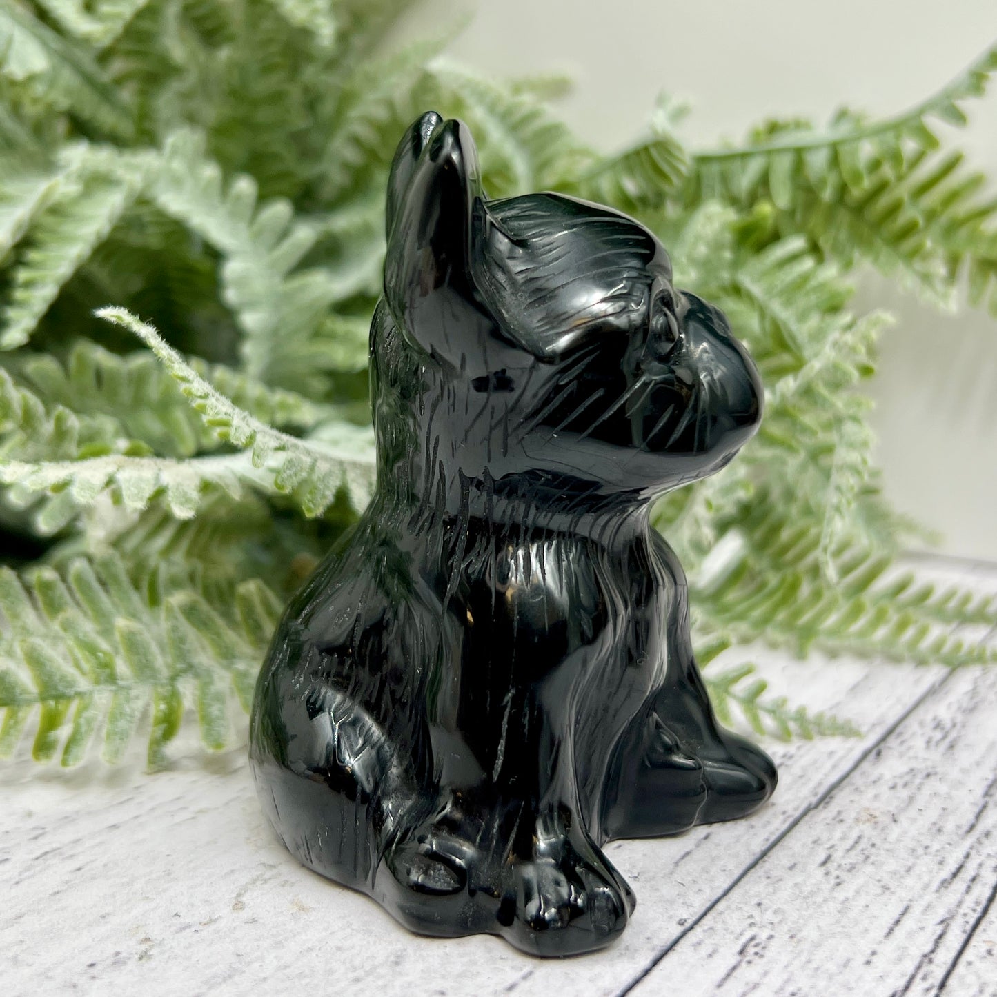 Black Obsidian French Bull Dog Puppy Animal Crystal Carving 190g