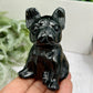 Black Obsidian French Bull Dog Puppy Animal Crystal Carving 190g