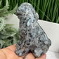 Larvikite Norwegian Moonstone Dog Labrador Puppy Animal Crystal Carving 436g