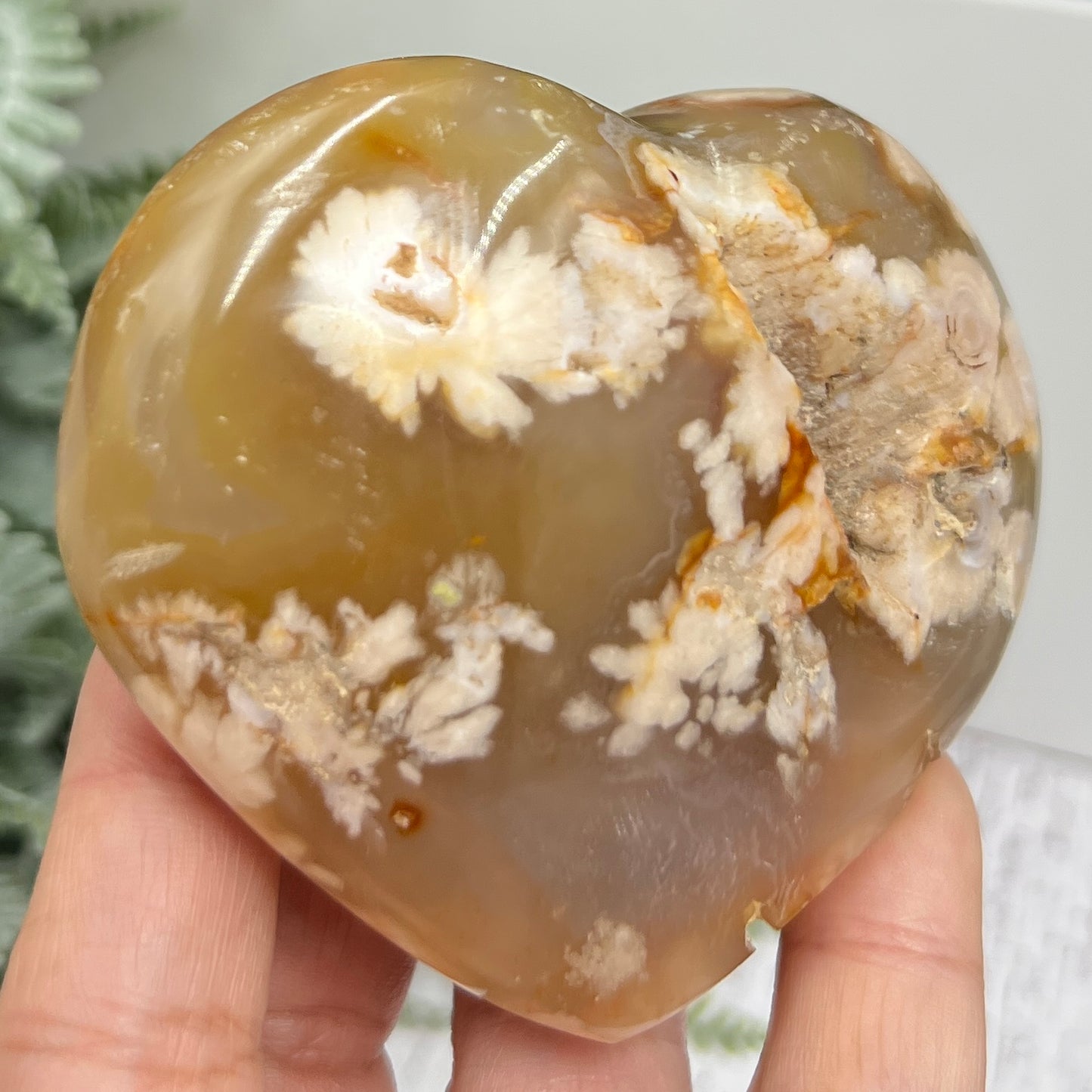 Flower Agate Heart Large Healing Crystal Carving 264g