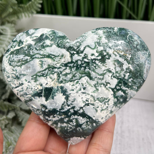 Tree Agate Heart Large Healing Crystal Carving 494g