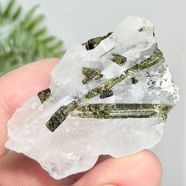 Green Tourmaline Verdelite Quartz From Brazil Natural Specimen Crystal 34g
