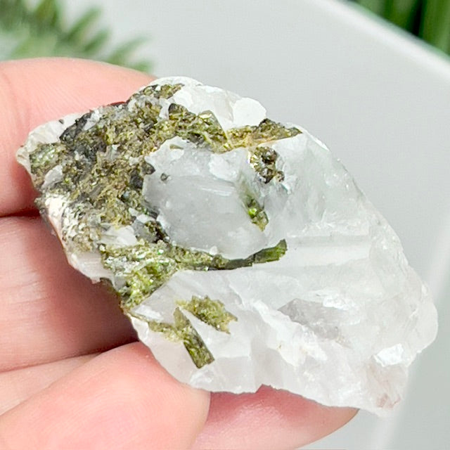 Green Tourmaline Verdelite Quartz From Brazil Natural Specimen Crystal 34g