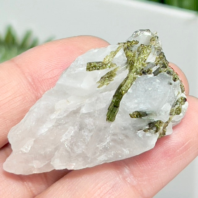 Green Tourmaline Verdelite Quartz From Brazil Natural Specimen Crystal 34g