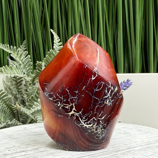 Carnelian with Orca Agate Quartz Flame Free Form Healing Crystal 249g