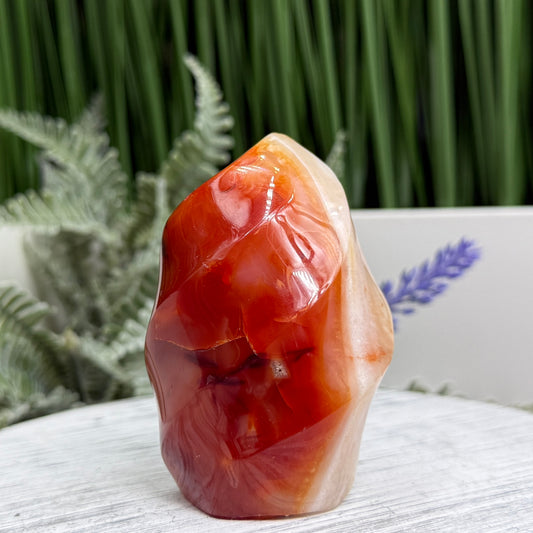 Carnelian with Quartz Flame Free Form Healing Crystal 170g