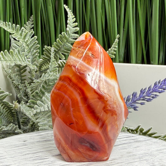 Carnelian with Orca Agate Quartz Flame Free Form Healing Crystal 161g