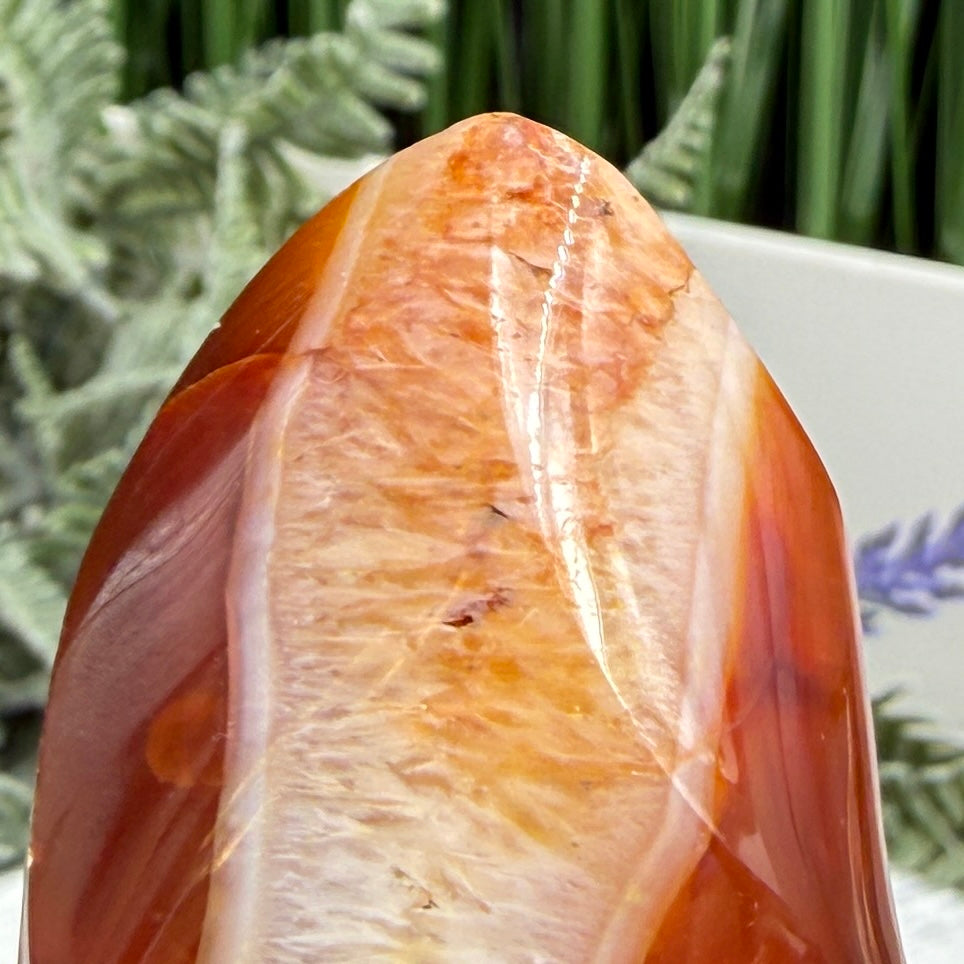 Carnelian with Quartz Flame Free Form Healing Crystal 117g