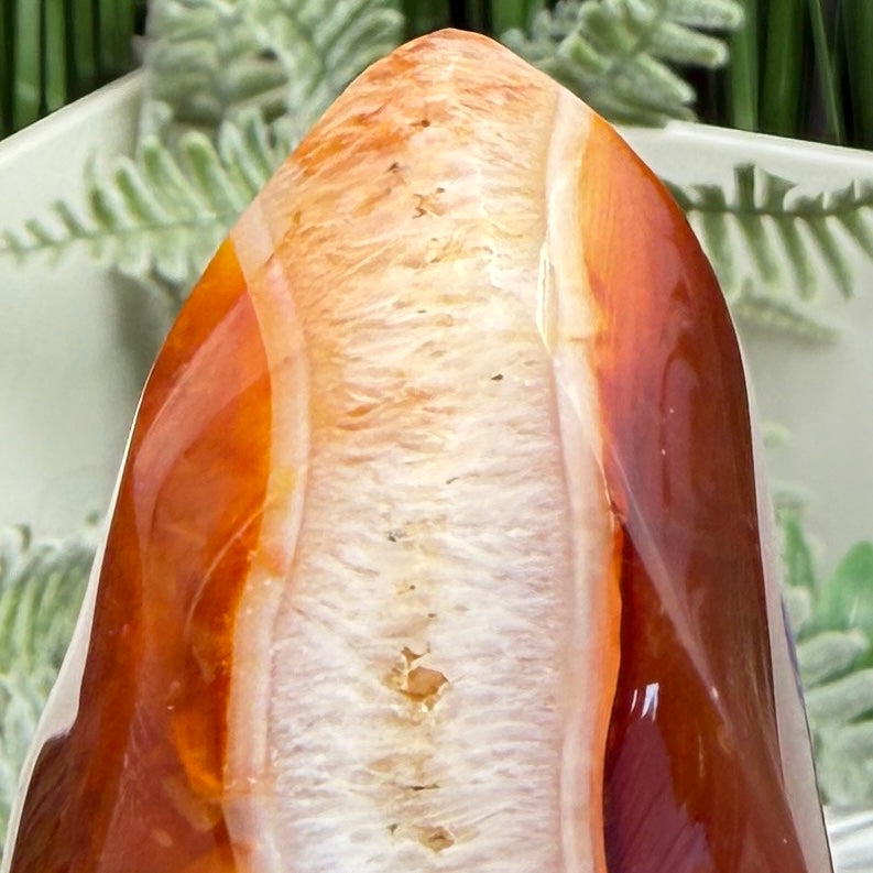 Carnelian with Quartz Flame Free Form Healing Crystal 117g