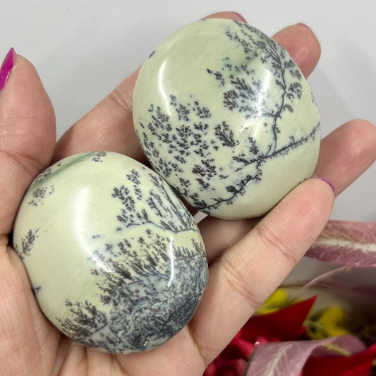 Dendritic Jasper Palm Stone Worry Crystal YOU CHOOSE