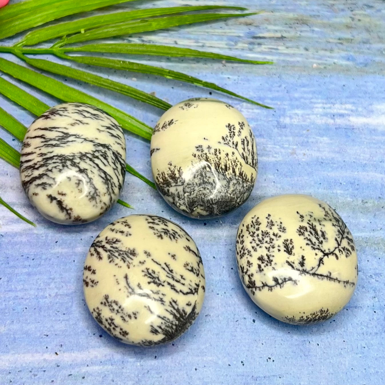 Dendritic Jasper Palm Stone Worry Crystal YOU CHOOSE