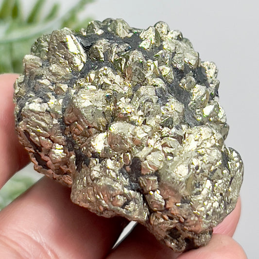 Marcasite Natural Raw Healing Crystal Mineral Specimen 122g