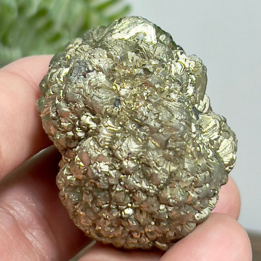 Marcasite Natural Raw Healing Crystal Mineral Specimen 116g