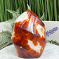 Carnelian with Orca Agate Quartz Flame Free Form Healing Crystal 382g