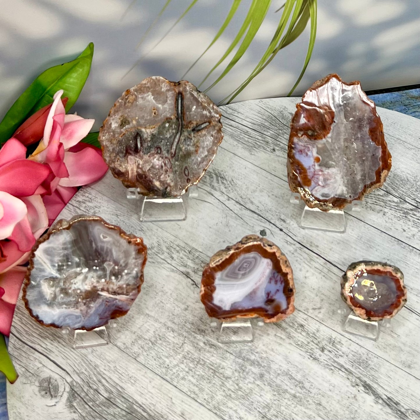 Agate Slice Slab Natural Raw Crystal YOU CHOOSE