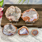 Agate Slice Slab Natural Raw Crystal YOU CHOOSE