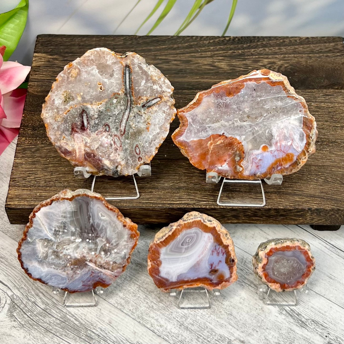 Agate Slice Slab Natural Raw Crystal YOU CHOOSE