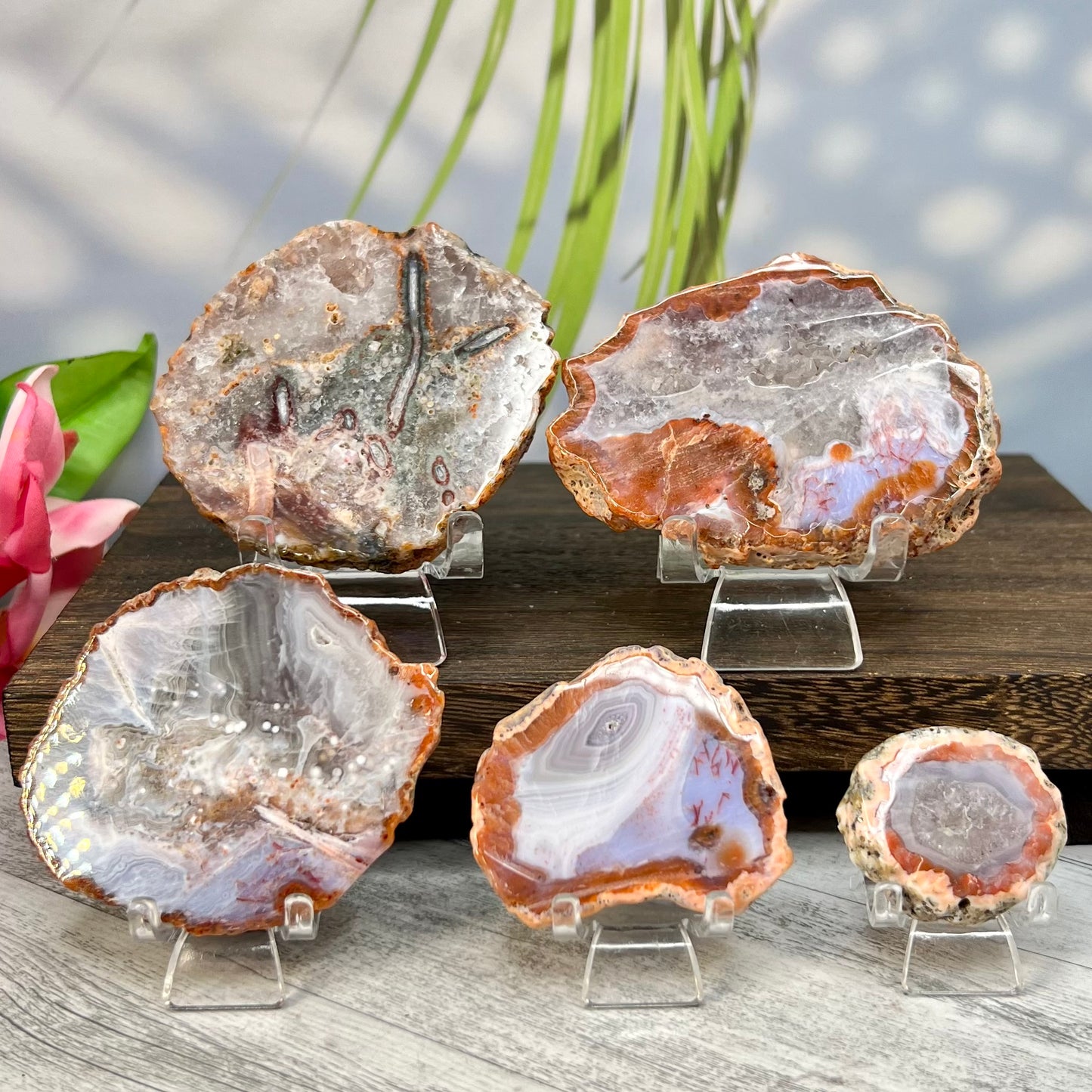 Agate Slice Slab Natural Raw Crystal YOU CHOOSE