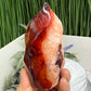 Carnelian with Orca Agate Quartz Flame Free Form Healing Crystal 287g