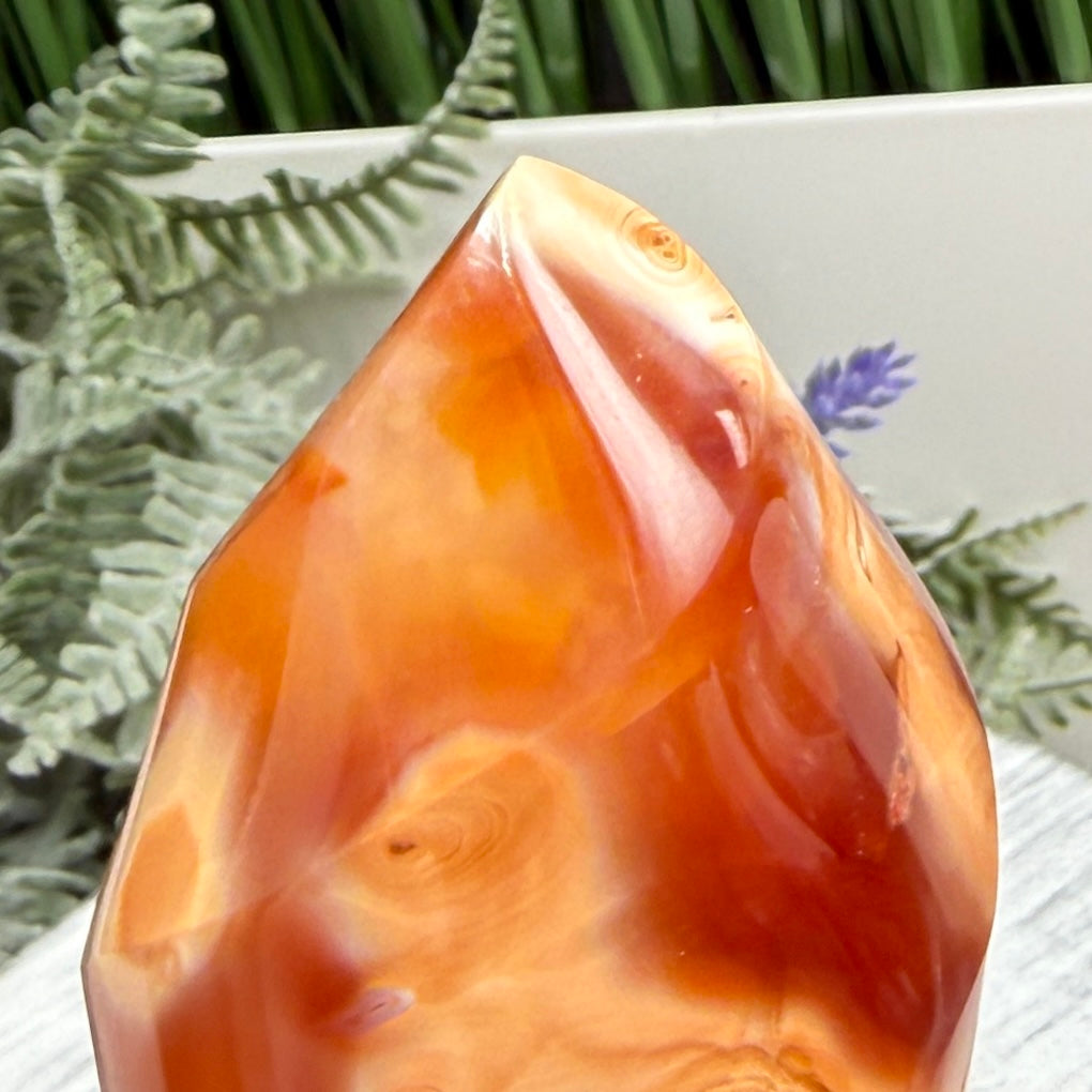 Carnelian with Orca Agate Quartz Flame Free Form Healing Crystal 273g