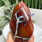 Carnelian with Orca Agate Quartz Flame Free Form Healing Crystal 167g