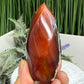 Carnelian with Orca Agate Quartz Flame Free Form Healing Crystal 167g
