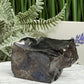 Elite Noble Shungite Raw Chunks Crystal Specimen EMF Protection 50g