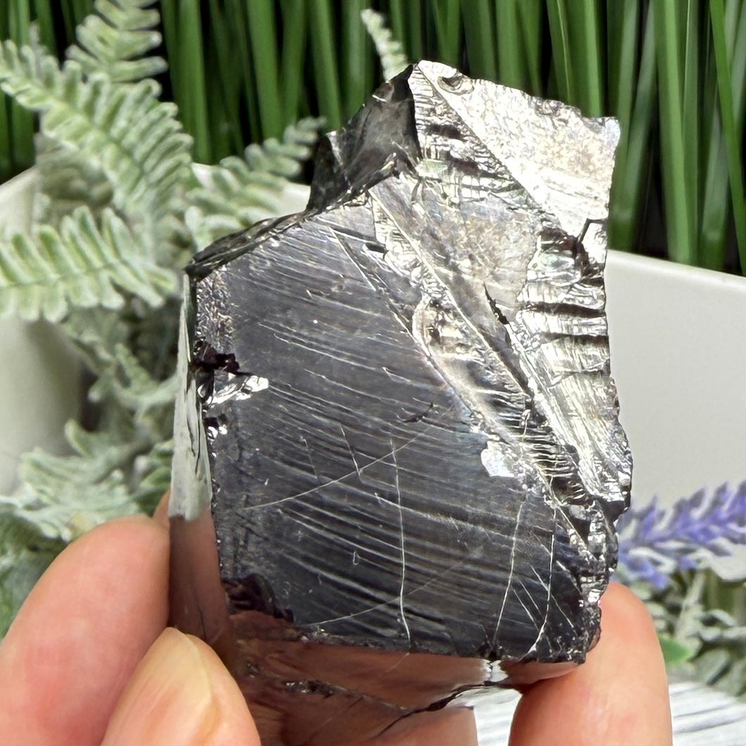 Elite Noble Shungite Raw Chunks Crystal Specimen EMF Protection 50g