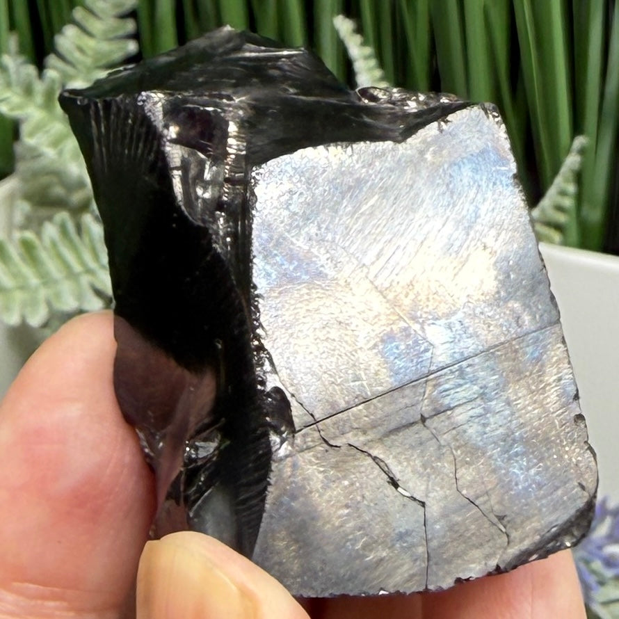 Elite Noble Shungite Raw Chunks Crystal Specimen EMF Protection 50g