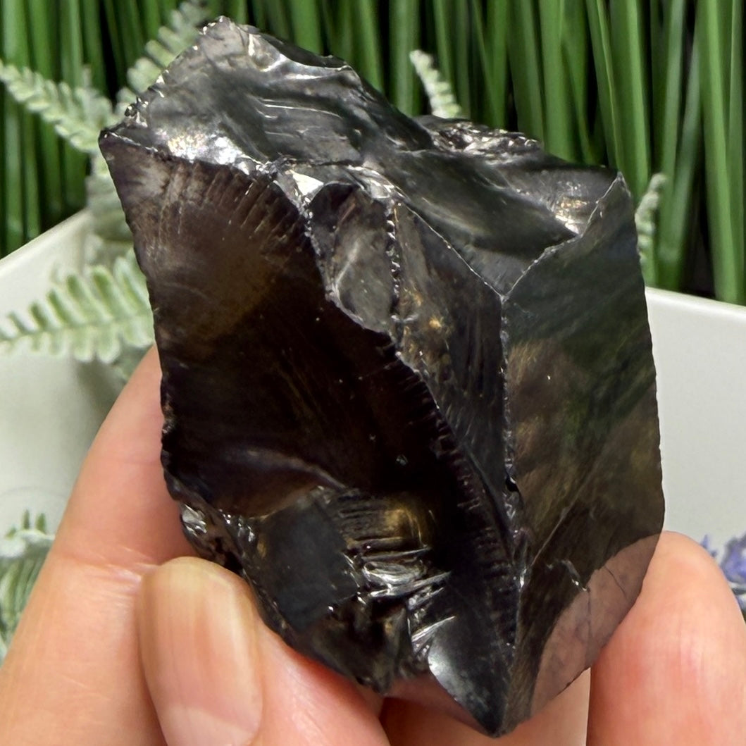 Elite Noble Shungite Raw Chunks Crystal Specimen EMF Protection 50g