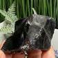 Elite Noble Shungite Raw Chunks Crystal Specimen EMF Protection 50g