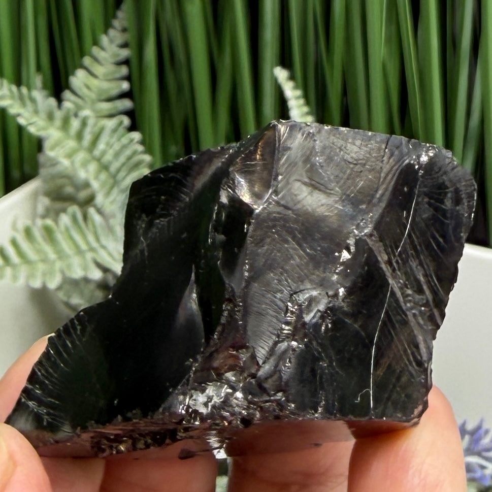Elite Noble Shungite Raw Chunks Crystal Specimen EMF Protection 50g