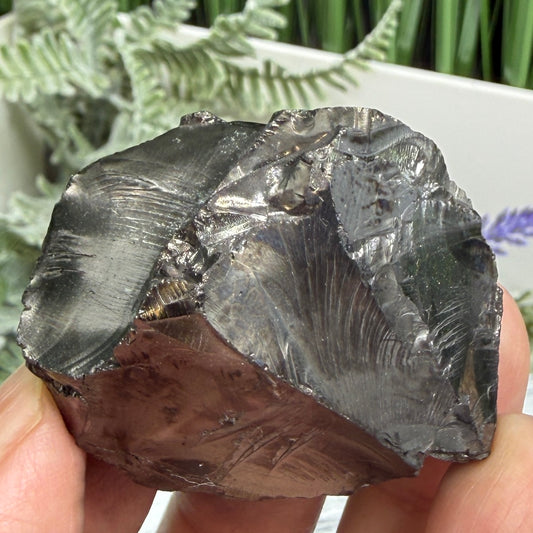 Elite Noble Shungite Raw Chunks Crystal Specimen EMF Protection 38g