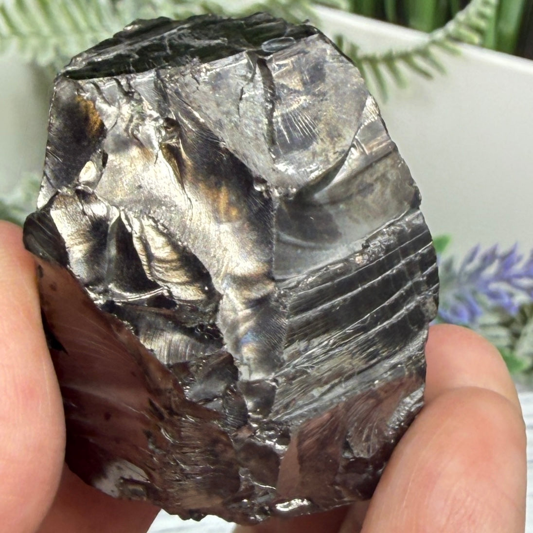 Elite Noble Shungite Raw Chunks Crystal Specimen EMF Protection 38g