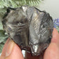 Elite Noble Shungite Raw Chunks Crystal Specimen EMF Protection 38g