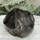 Elite Noble Shungite Raw Chunks Crystal Specimen EMF Protection 38g