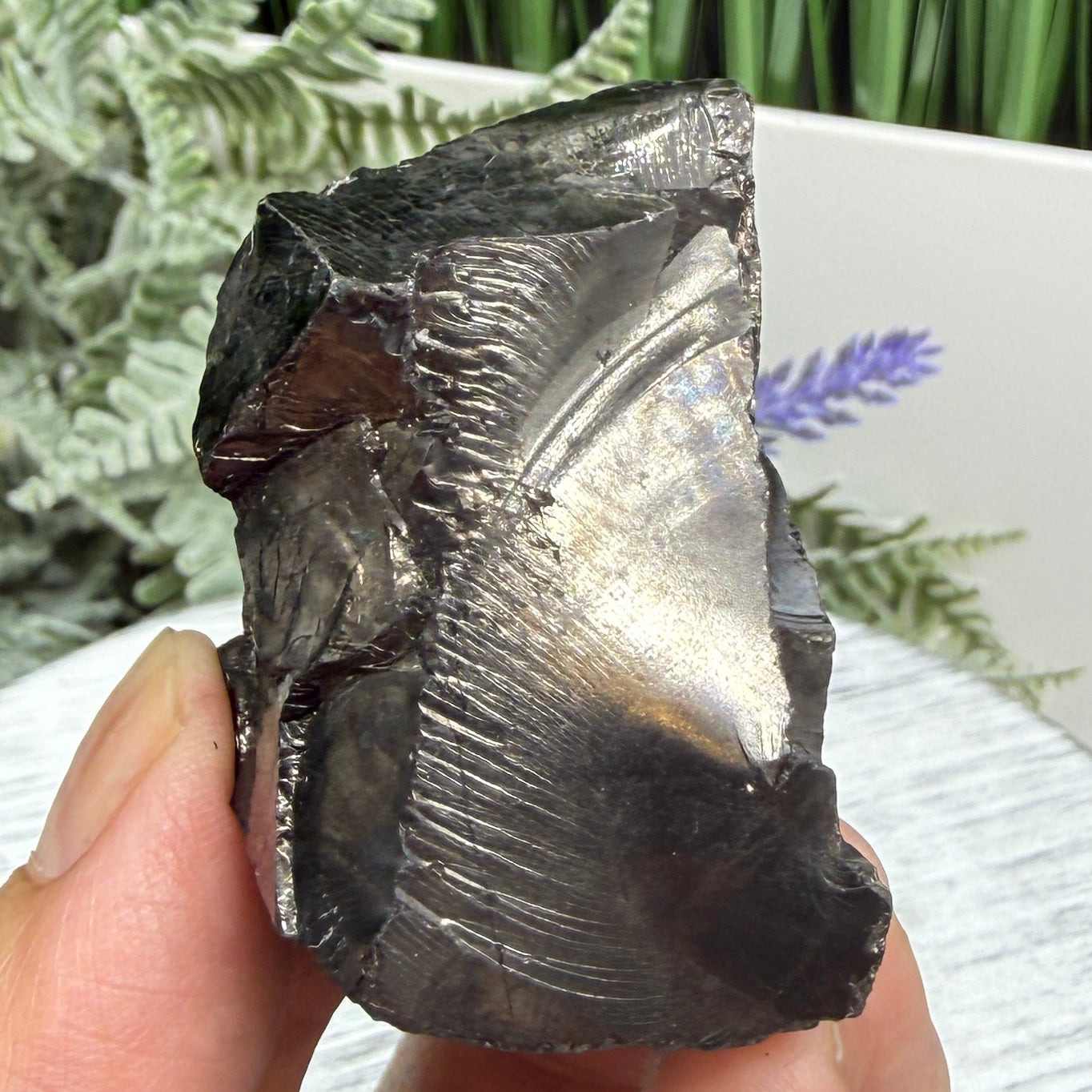 Elite Noble Shungite Raw Chunks Crystal Specimen EMF Protection 37g