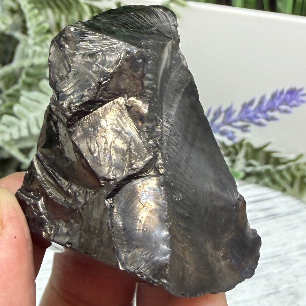 Elite Noble Shungite Raw Chunks Crystal Specimen EMF Protection 37g