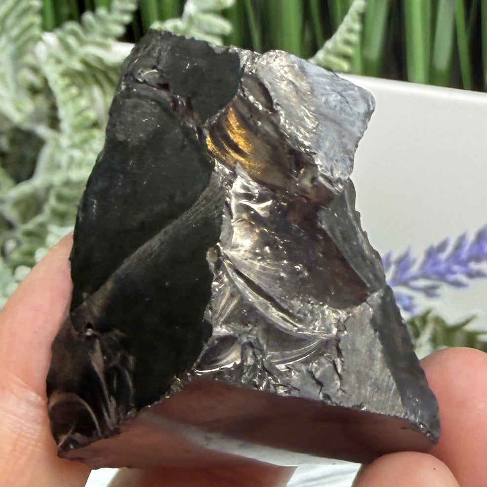 Elite Noble Shungite Raw Chunks Crystal Specimen EMF Protection 37g