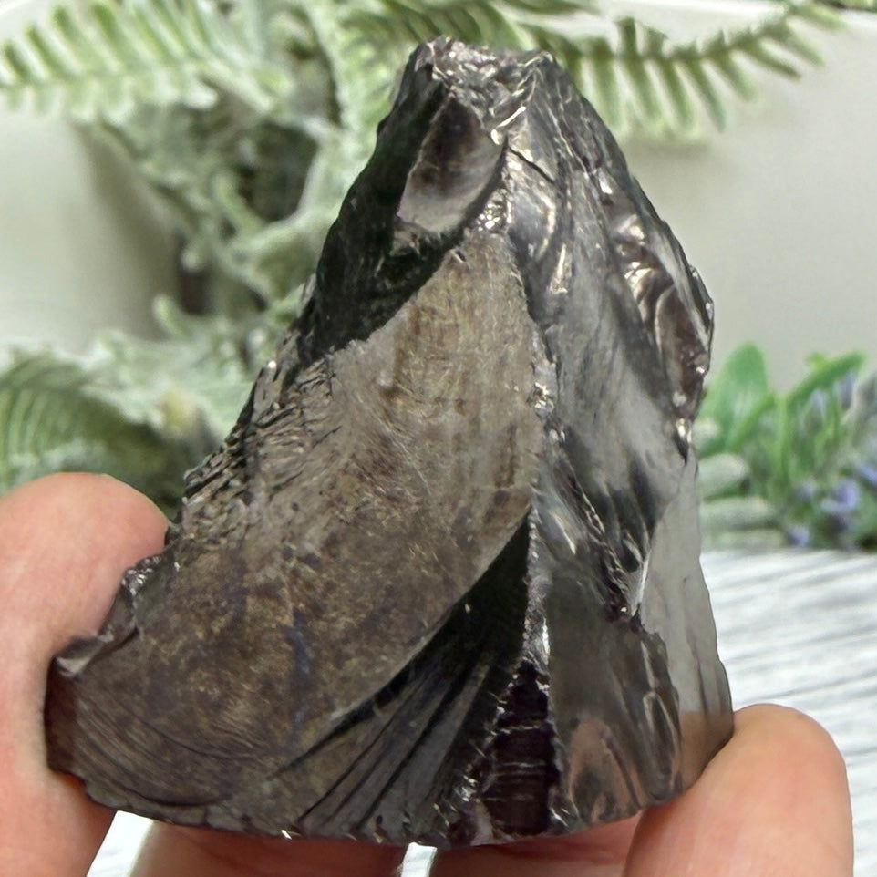 Elite Noble Shungite Raw Chunks Crystal Specimen EMF Protection 37g